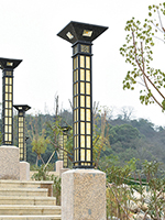 SY-25101
